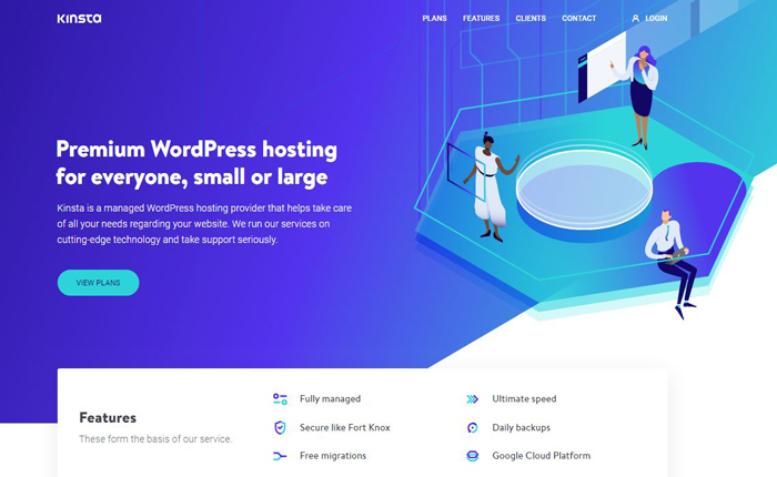 Kinsta Web Hosting Services Reviews