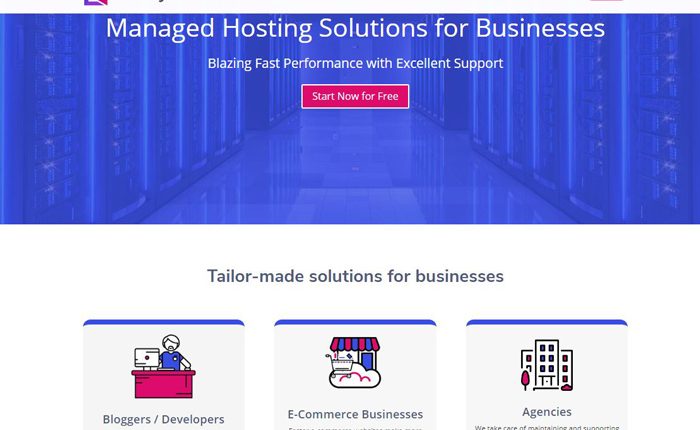 Nestify Web Hosting Services Reviews